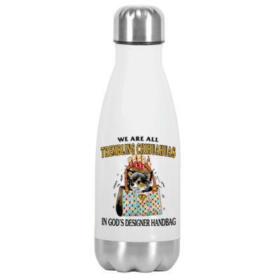 Trembling Chihuahua Stainless Steel Insulated Water Bottle