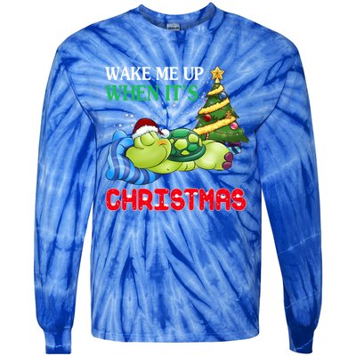 Turtle Christmas Wake Me Up When ItS Christmas Turtle Lover Gift Tie-Dye Long Sleeve Shirt