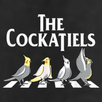 The Cockatiels Weiro Bird Quarrion Parrot Lover Adult Drive Performance Visor