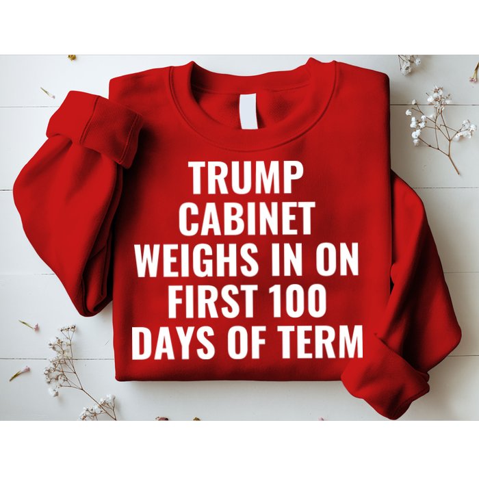 Trump Cabinet Weighs In On First 100 Days Of Term Sweatshirt