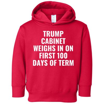 Trump Cabinet Weighs In On First 100 Days Of Term Toddler Hoodie