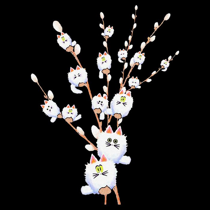 Tree Cat Willow Buds Flowers Tree Flat Bill Trucker Hat