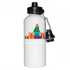 The Cat Who Stole Christmas Funny Xmas Kitten Feline Meaningful Gift Aluminum Water Bottle