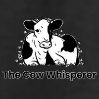 The Cow Whisperer Cute Black And White Resting Cow Adult Drive Performance Visor