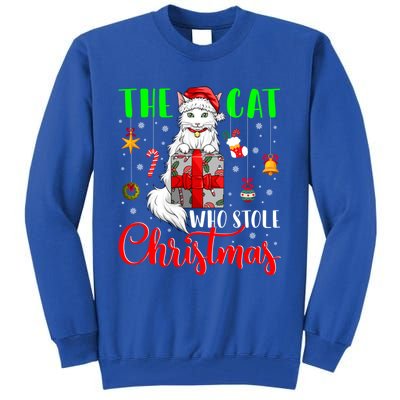 The Cat Who Stole Christmas Funny Christmas Santa Cat Lover Meaningful Gift Tall Sweatshirt