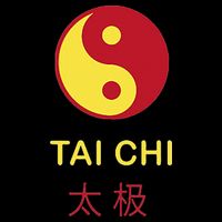 Tai Chi Yin Yang Magnet