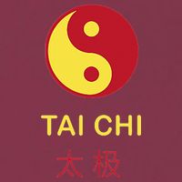 Tai Chi Yin Yang 16oz Travel Tumbler