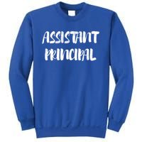 Teacher's Day 100 Days Of School Cool Assistant Principal Funny Gift Sweatshirt