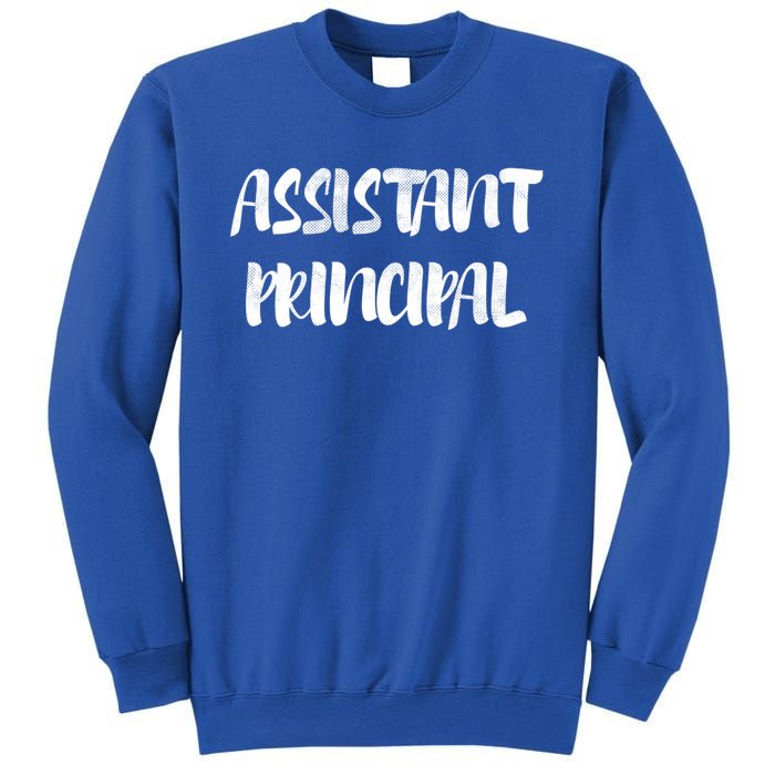 Teacher's Day 100 Days Of School Cool Assistant Principal Funny Gift Sweatshirt