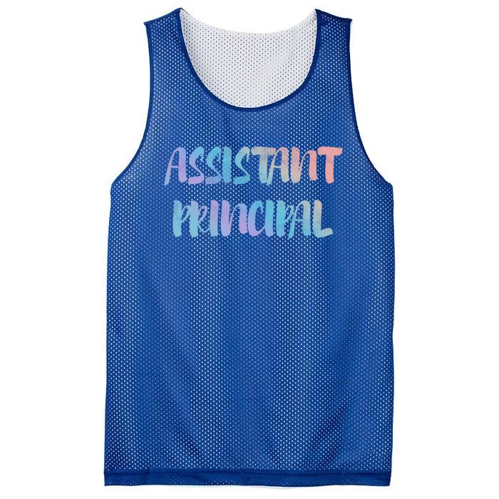 Teacher's Day 100 Days Of School Cool Assistant Principal Gift Mesh Reversible Basketball Jersey Tank