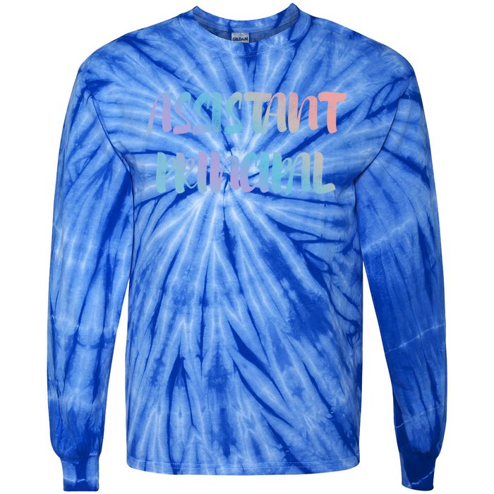 Teacher's Day 100 Days Of School Cool Assistant Principal Gift Tie-Dye Long Sleeve Shirt