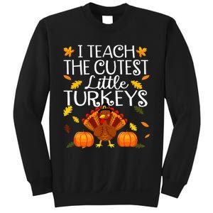 Thanksgiving Day Adorable Turkey Teaching for Educators Sweatshirt