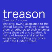 Treason Definition Anti Trump Treason Womens Tank Top