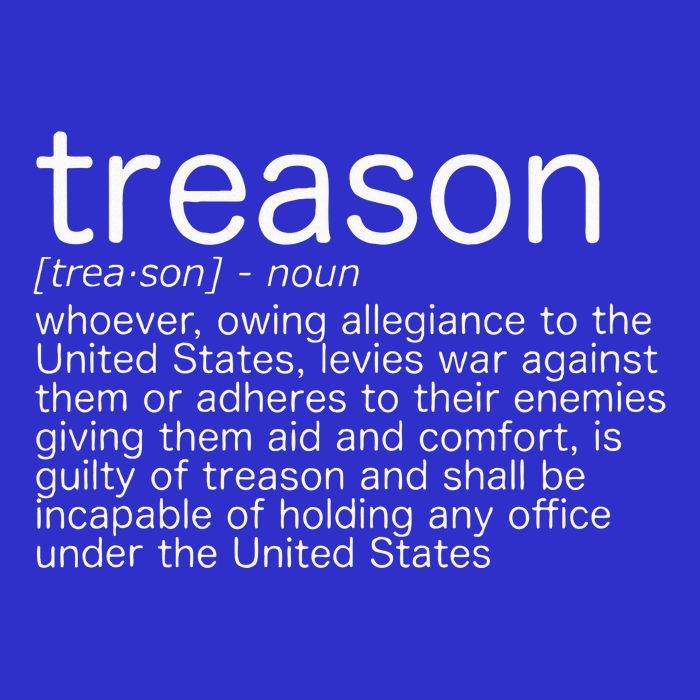 Treason Definition Anti Trump Treason Womens Tank Top