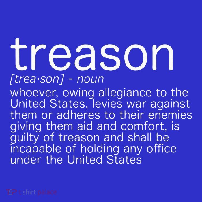 Treason Definition Anti Trump Treason Womens T-Shirt