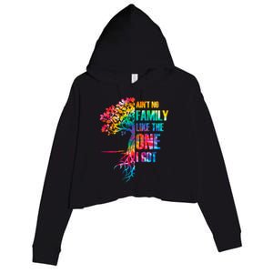 Tie Dye Ain't No Family Like The One I Got Family Reunion Cool Gift Crop Fleece Hoodie