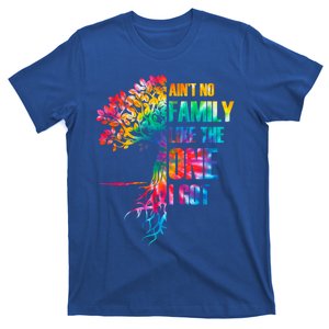 Tie Dye Ain't No Family Like The One I Got Family Reunion Cool Gift T-Shirt