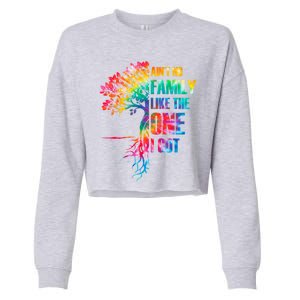 Tie Dye Ain't No Family Like The One I Got Family Reunion Cool Gift Cropped Pullover Crew