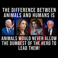 The Difference Between Animals And Humans Funny Democrat T-Shirt