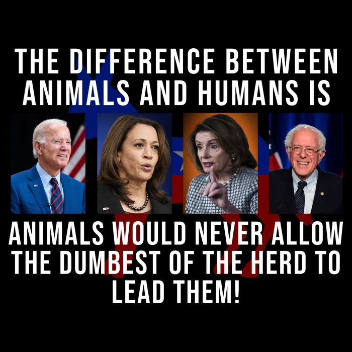 The Difference Between Animals And Humans Funny Democrat T-Shirt