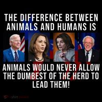 The Difference Between Animals And Humans Funny Democrat Cooling Performance Long Sleeve Crew