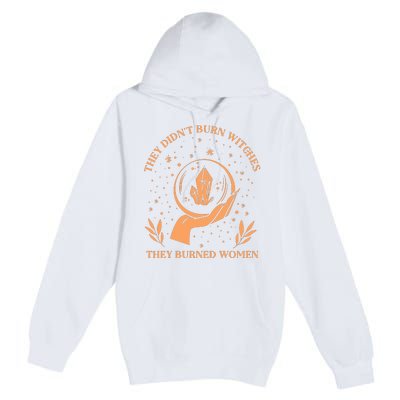 They Didnt Burn Witches They Burned Women Feminist Witch Premium Pullover Hoodie