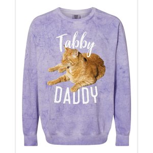 Tabby Daddy Cat Lover Funny Saying Graphic Gift Colorblast Crewneck Sweatshirt