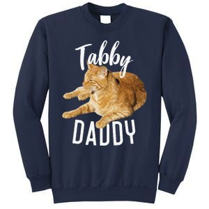 Tabby Daddy Cat Lover Funny Saying Graphic Gift Sweatshirt