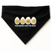 Thanksgiving Dinner Deviled Egg You Know Why Im Here USA-Made Doggie Bandana