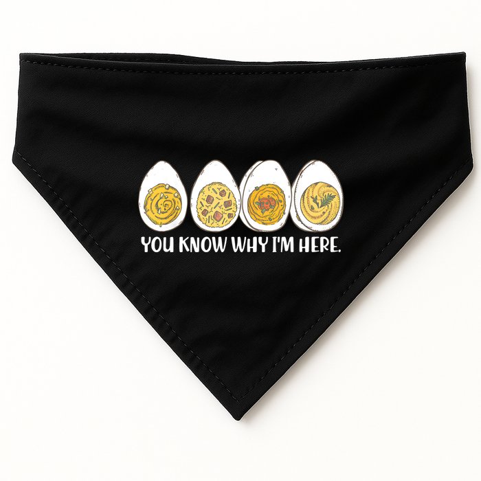 Thanksgiving Dinner Deviled Egg You Know Why Im Here USA-Made Doggie Bandana