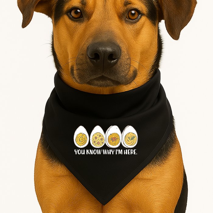Thanksgiving Dinner Deviled Egg You Know Why Im Here USA-Made Doggie Bandana