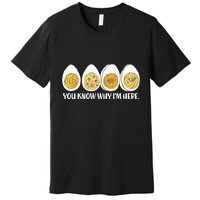 Thanksgiving Dinner Deviled Egg You Know Why Im Here Premium T-Shirt