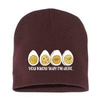 Thanksgiving Dinner Deviled Egg You Know Why Im Here Short Acrylic Beanie