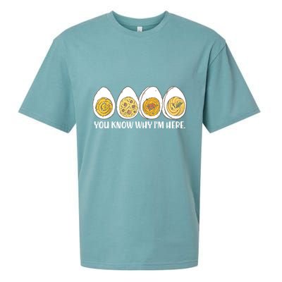 Thanksgiving Dinner Deviled Egg You Know Why Im Here Sueded Cloud Jersey T-Shirt