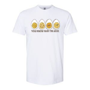 Thanksgiving Dinner Deviled Egg You Know Why Im Here Softstyle CVC T-Shirt