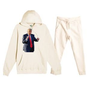 Trump Dance Dancing Like A Felon Vote Trump 2024 Maga Premium Hooded Sweatsuit Set