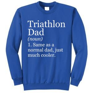 Triathlon Dad Definition Funny Sarcastic Sports Gift Sweatshirt