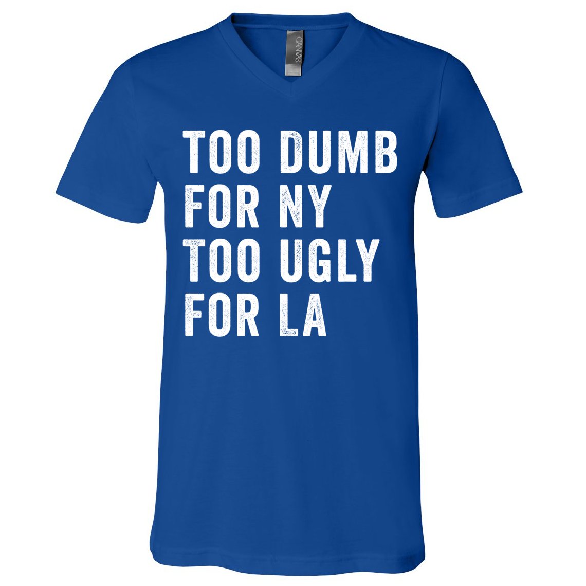 Too Dumb For New York Too Ugly For La Gift V-Neck T-Shirt