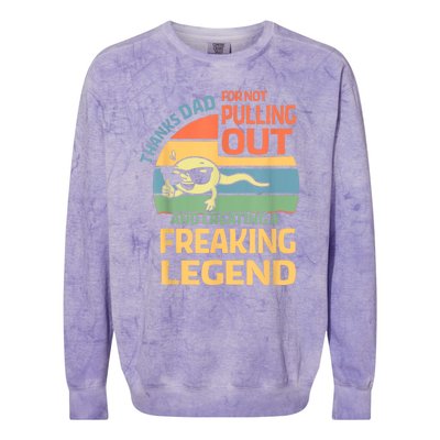 Thanks Dad For Not Pulling Out Funny Gifts From Daughter Son Colorblast Crewneck Sweatshirt