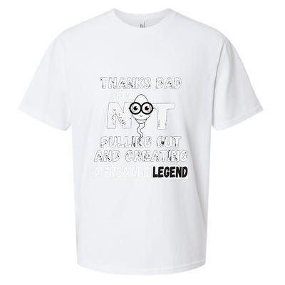 Thanks Dad For Not Pulling Out And Creating A Legend Father Sueded Cloud Jersey T-Shirt