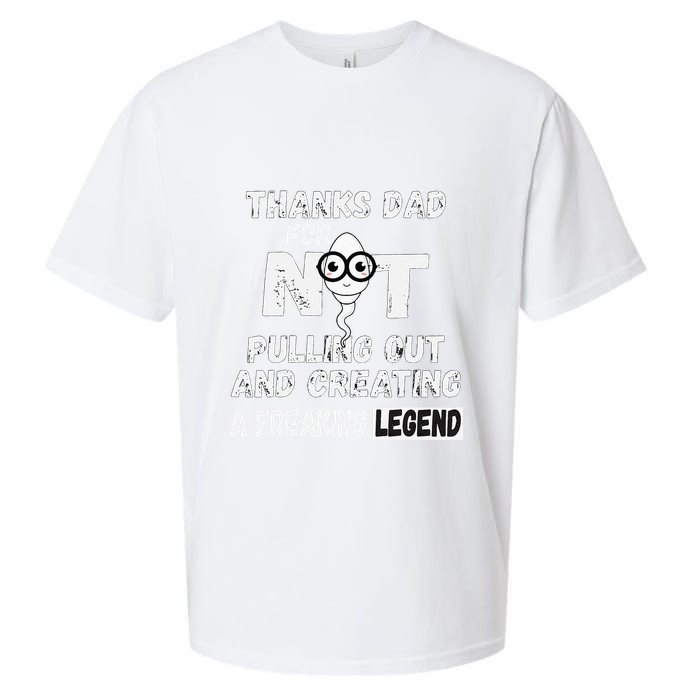 Thanks Dad For Not Pulling Out And Creating A Legend Father Sueded Cloud Jersey T-Shirt