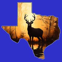 Texas Deer Hunter Forest Silhouette Texan Wildlife Lover  Womens T-Shirt
