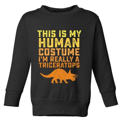 Triceratops Dinosaur Halloween Costume Gift Idea Toddler Sweatshirt