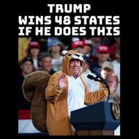 Trump Dress In Honor Of Peanut The Squirrel Flat Bill Trucker Hat