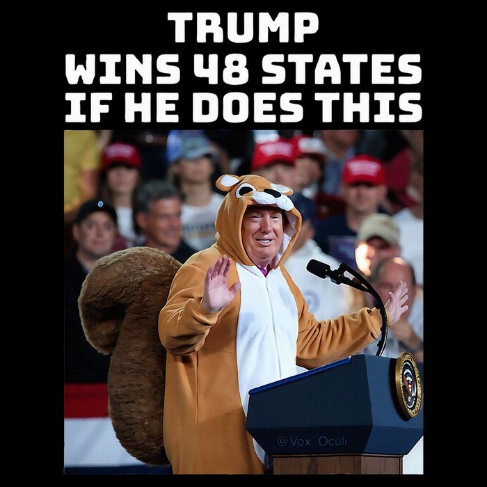 Trump Dress In Honor Of Peanut The Squirrel Flat Bill Trucker Hat