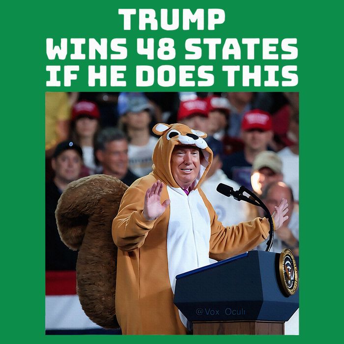 Trump Dress In Honor Of Peanut The Squirrel Long Sleeve Shirt