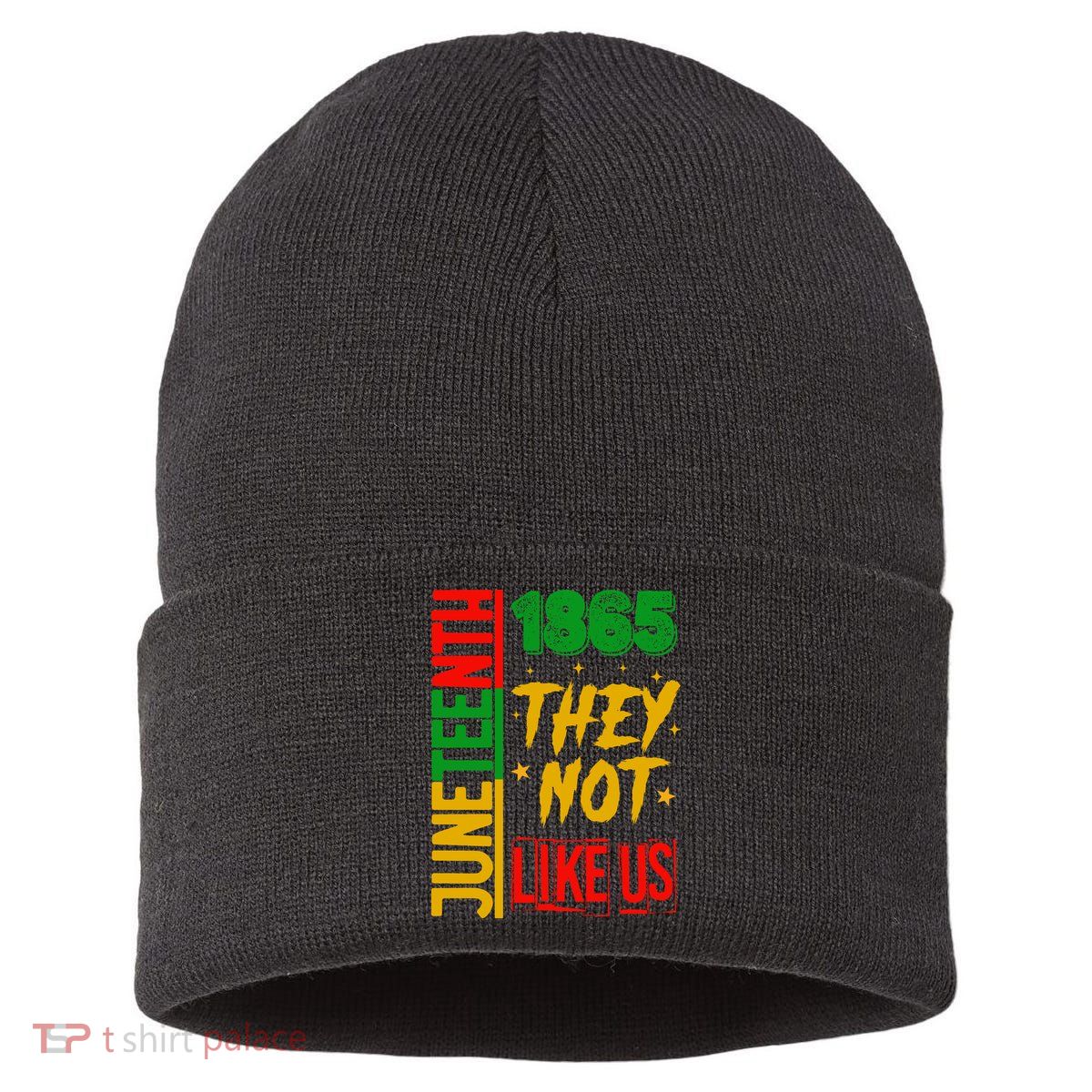 They Don't Like Us Juneteenth 1865 Pride Sustainable Knit Beanie