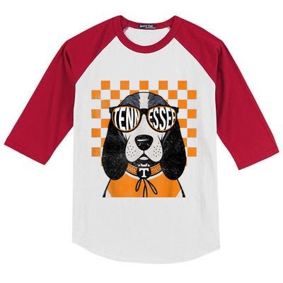 Tennessee Dog Lovers Coonhound Kids Colorblock Raglan Jersey