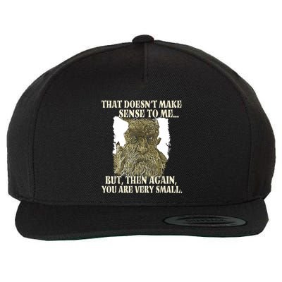 That DoesnT Make Sense To Me But Then Again You Are Very Wool Snapback Cap