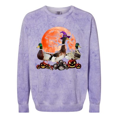 Three Duck Mummy Witch Pumpkin Farmer Pet Lover Halloween Gift Colorblast Crewneck Sweatshirt